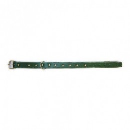 COLLAR PERRO COSIDO 3.5X60...