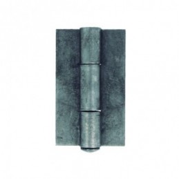 BISAGRA LIBRO 20-100X58...